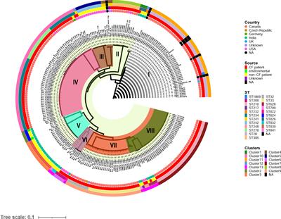 Genomic features, antimicrobial susceptibility, and epidemiological insights into Burkholderia cenocepacia clonal complex 31 isolates from bloodstream infections in India